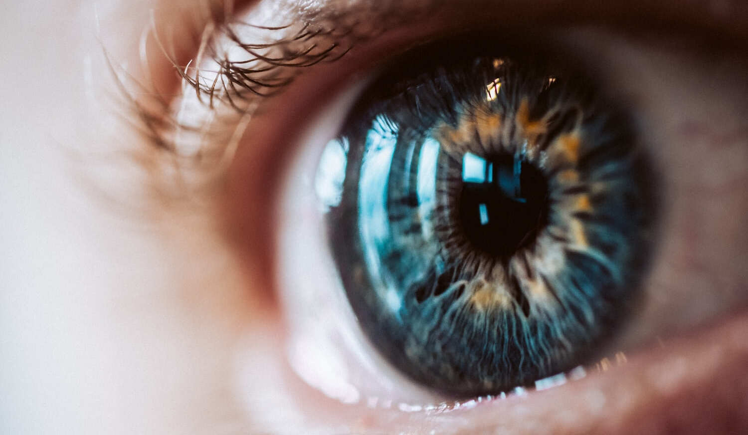 gros-plan-oeil